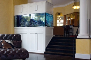 g-fish tank-gal